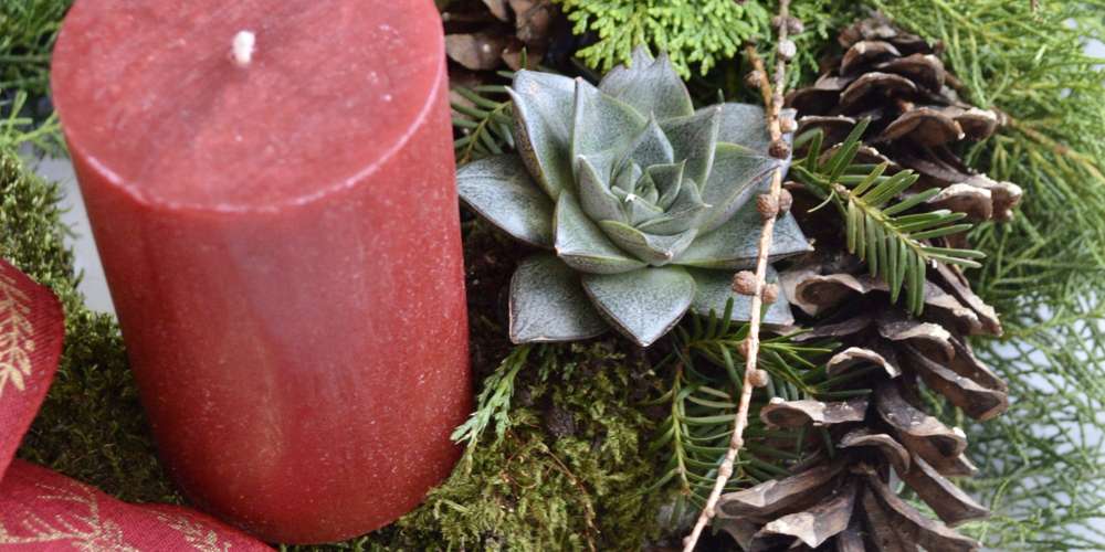 95BBF809-8B17-4181-9DA5-FEA8BF1EC5C1_1_201_a