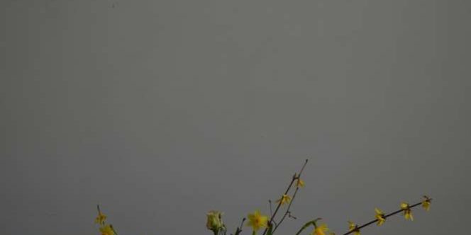 B42EA592-D0B2-4620-B882-D88421A04FDF