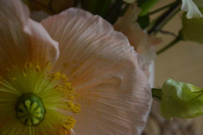 C243F84F-3470-4FF4-A7B6-C26E418C533C